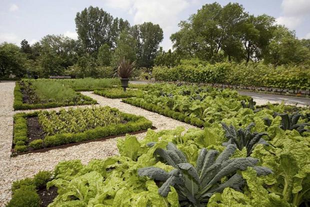 plan pour jardin plan pour jardin